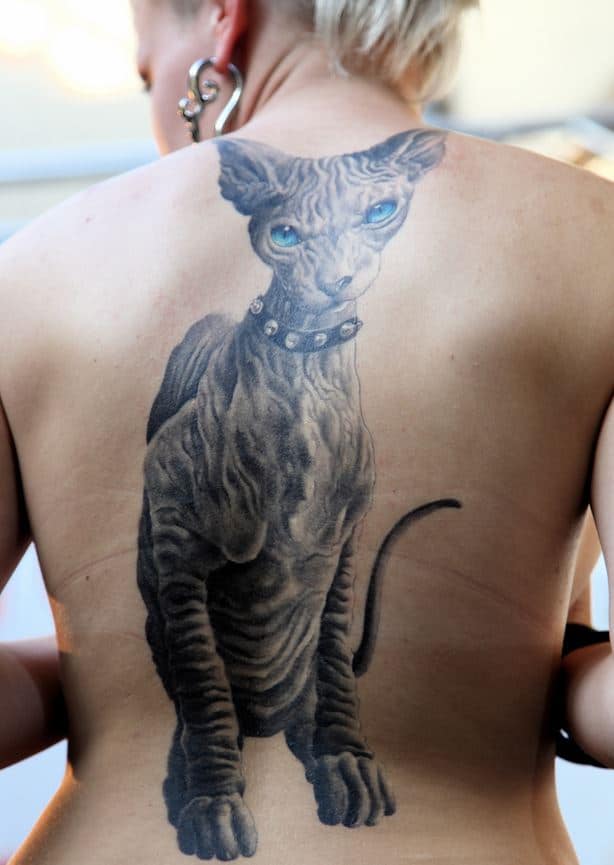 3D Sphynx Cat tattoo
