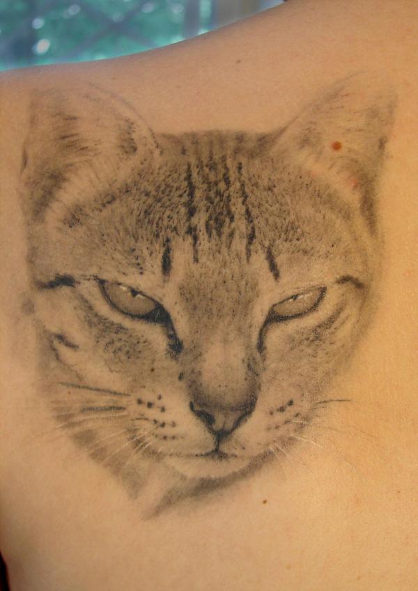 Tabby Cat Tattoo