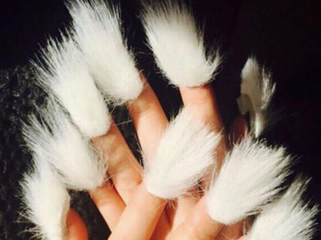 nails with white fur ball