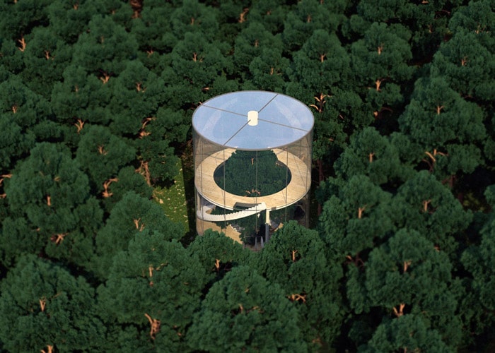 Transparent Tree House In The Forest