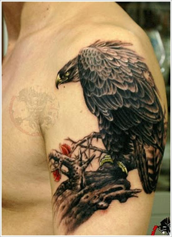 The Falcon Tattoo