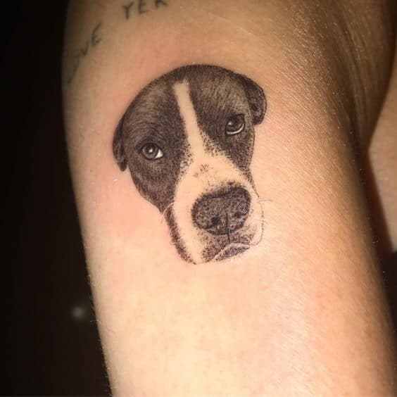 Miley Cyrus dog tattoo