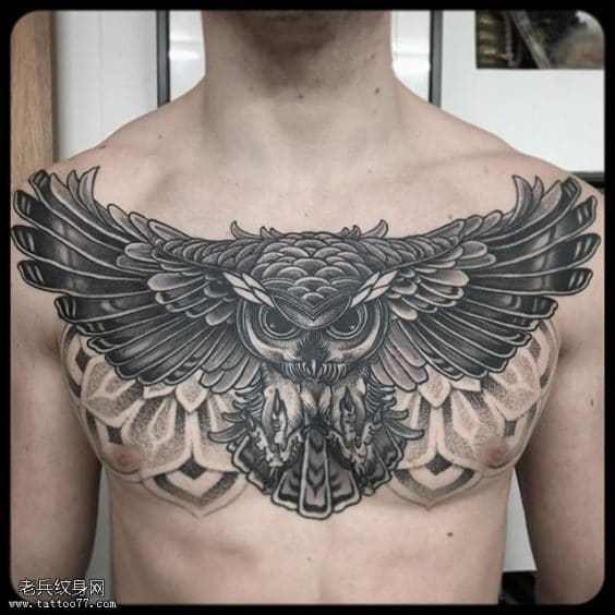 Owl Tattoo on chest