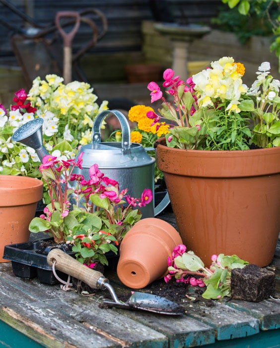 Prepare Garden For Spring - Clear the flower beds