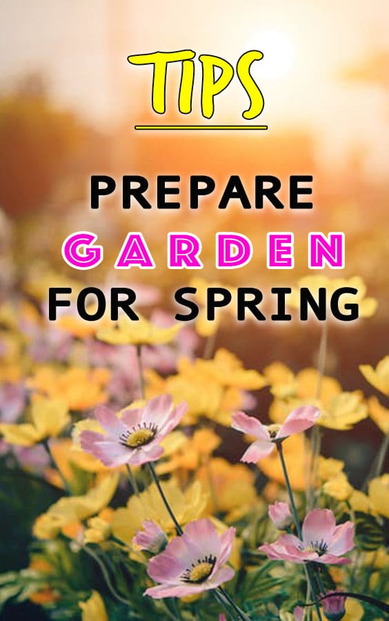 Prepare Garden For Spring