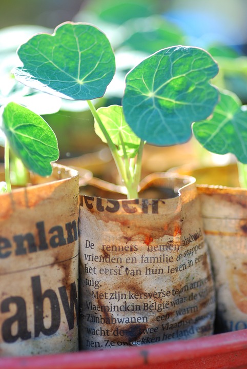 Prepare Garden For Spring-Sow flowering plants