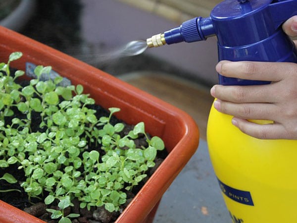 Prepare Garden For Spring Get rid of garden pests