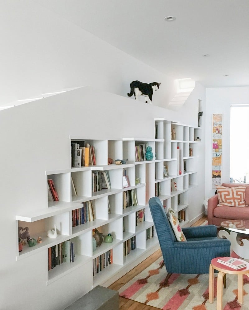 cats and book lovers' home decor