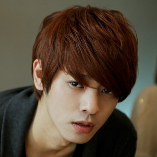 EMO Hairstyle asian layered hair