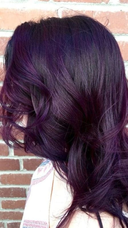Dark purple highlights