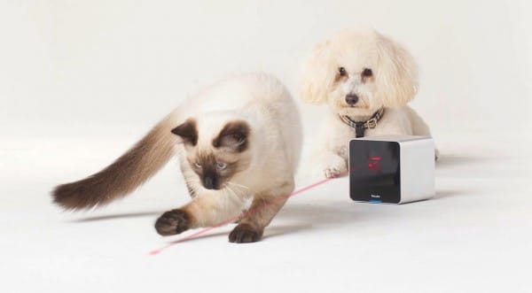 Petcube Interactive Camera