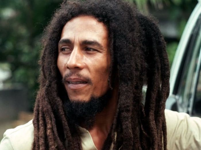 Dreadlocks Hairstyles 