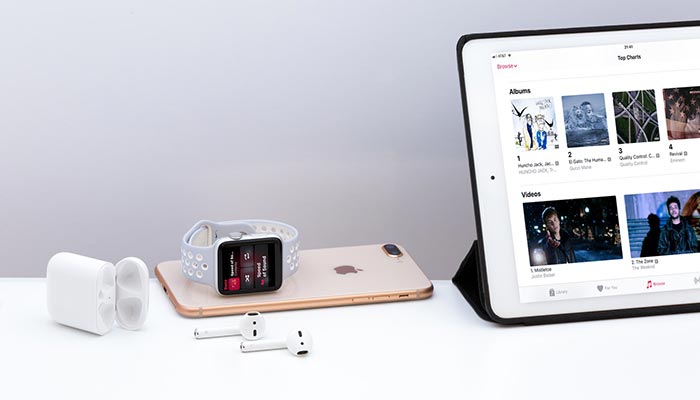 Examples of Industrial Designs : iPod/iPhone/iPad