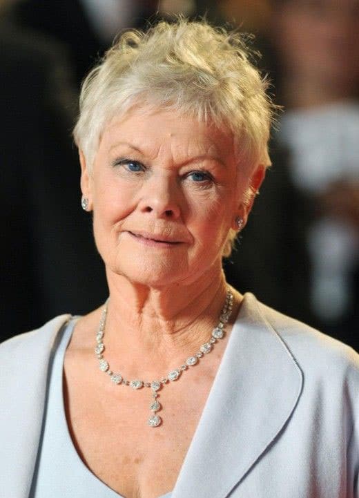 Celebrities Short Haircuts : Judi Dench’s choppy pixie