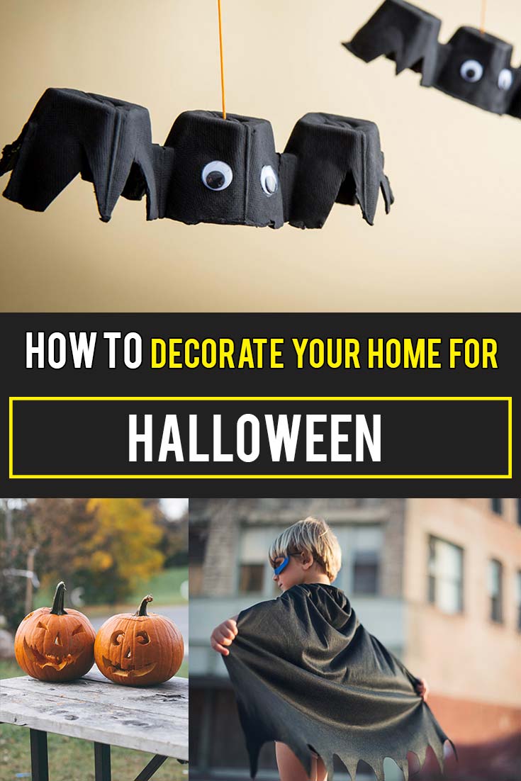 Halloween Decoration Ideas : Put Up Egg Carton Bats