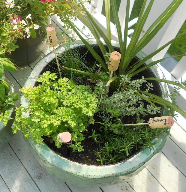 DIY Wine Cork to Garden Markers