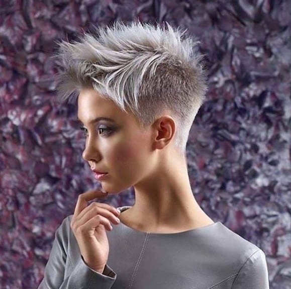 Pixie Bob with Silver Blonde Feathers