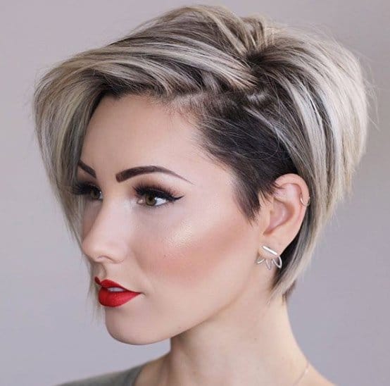 Black and Blonde Pixie Bob