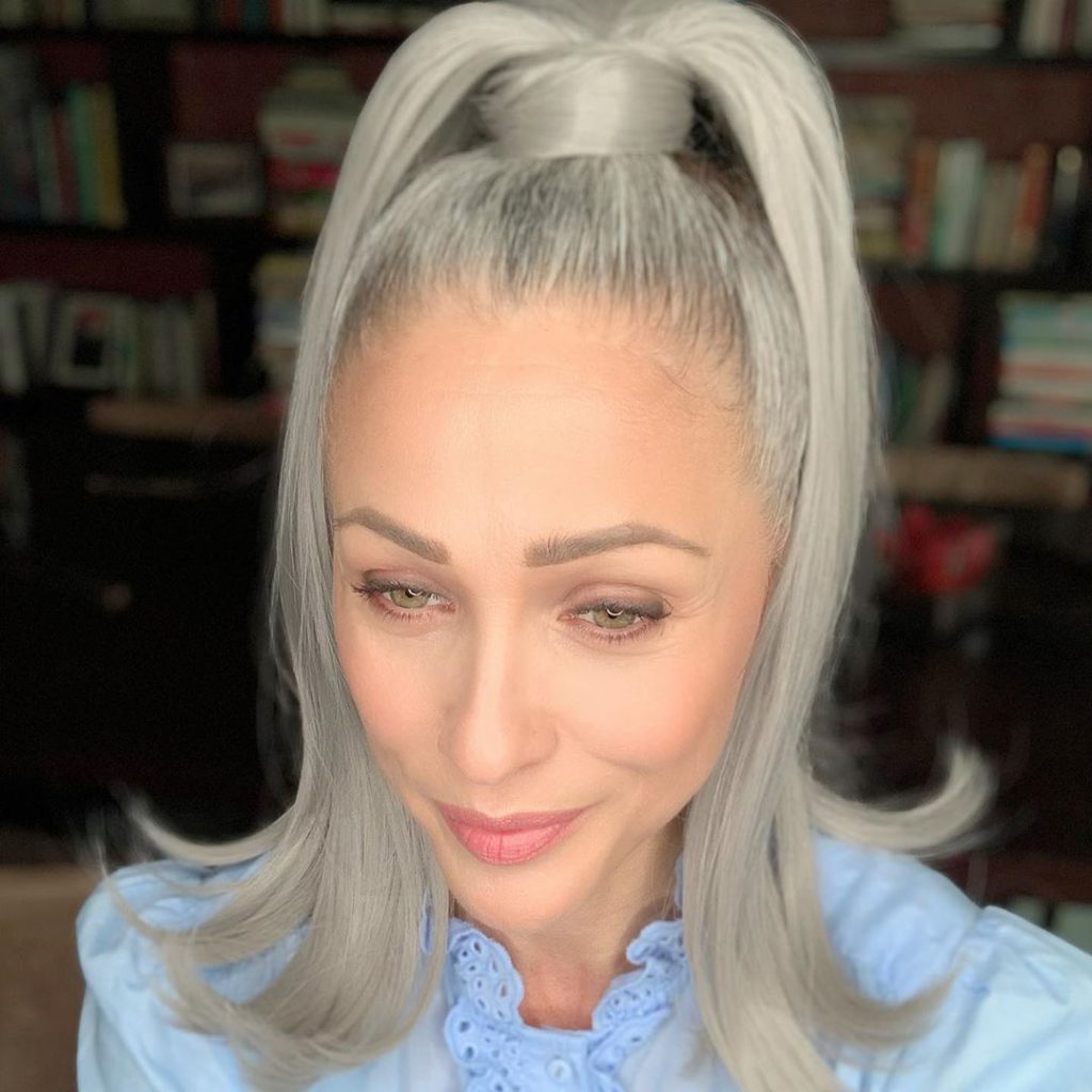 Silver Hair High Ponytail