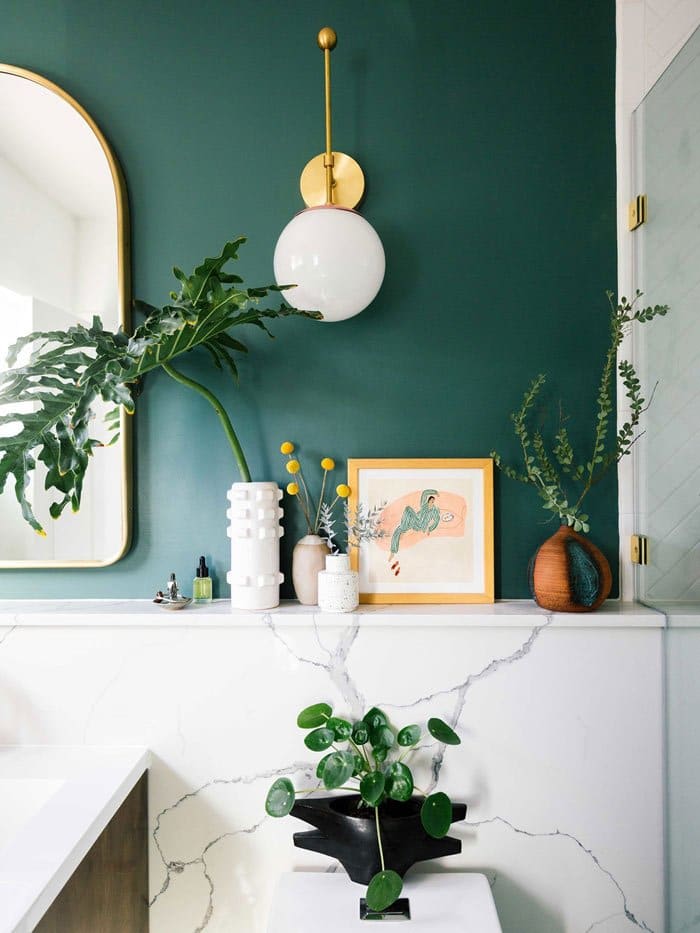 Plants for small bathroom