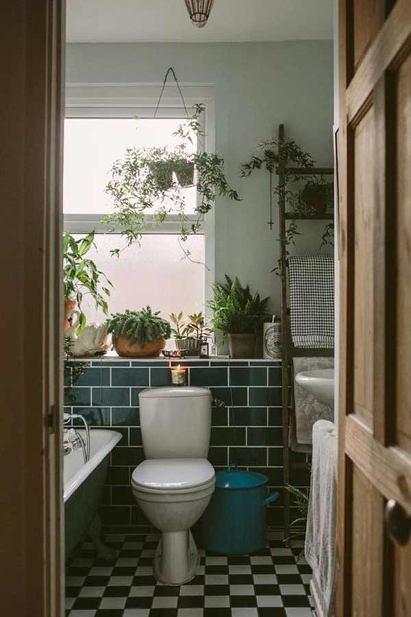 Small Bathroom Plants