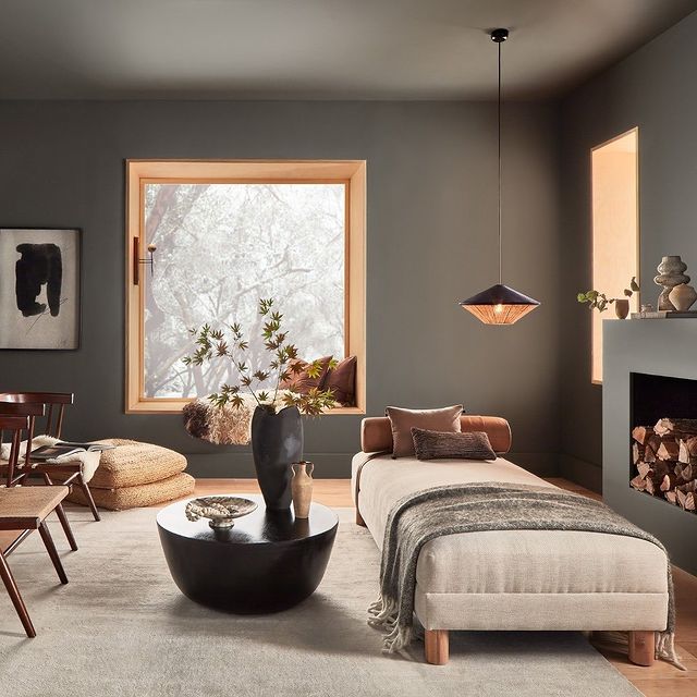 accent wall color combination - Dark Grey and Brown