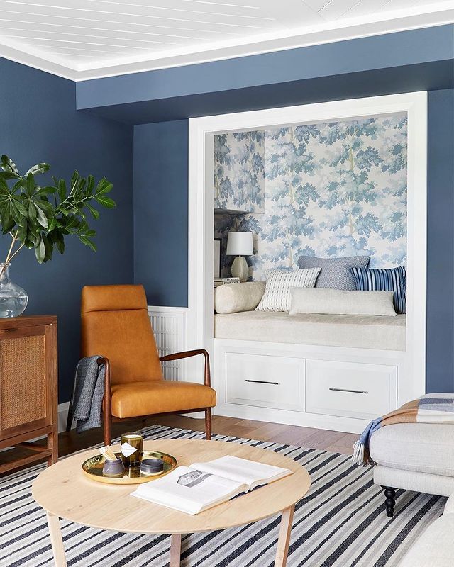 Dark Blue interior color