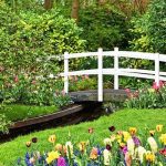 Artificial Grass Vs Live Lawn