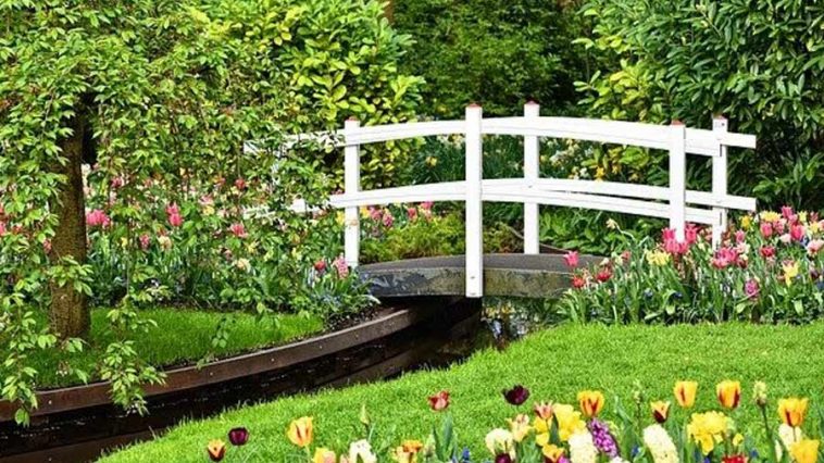 Artificial Grass Vs Live Lawn