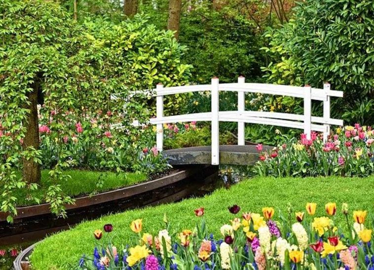 Artificial Grass Vs Live Lawn
