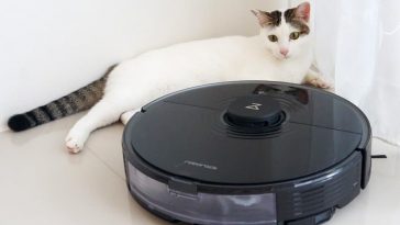 Roborock S7 VS Cat