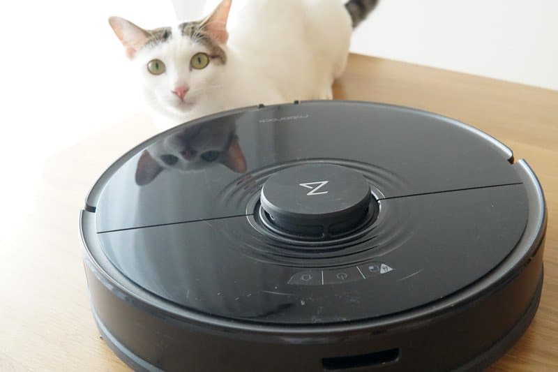 Roborock s7 and cat