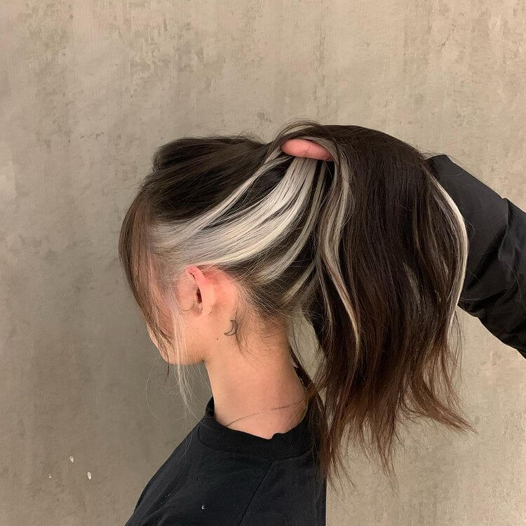 Blonde Underneath Hair Color For Brown Hair