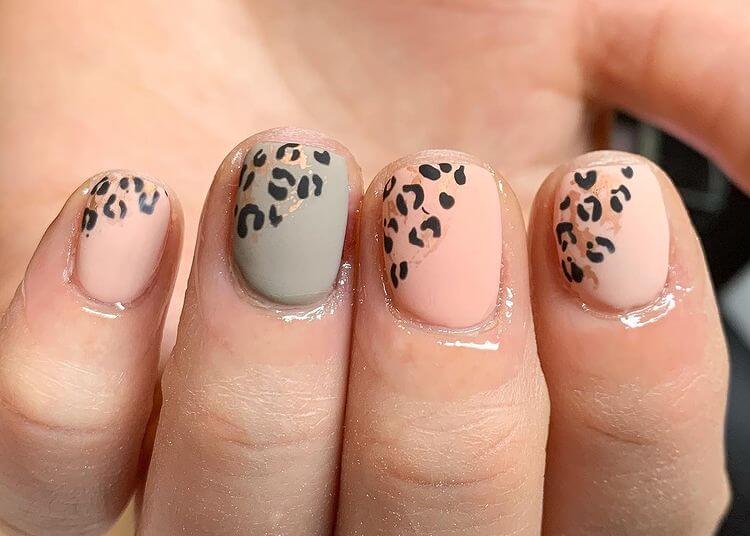 Pastel Matt with Leopard Print Nails