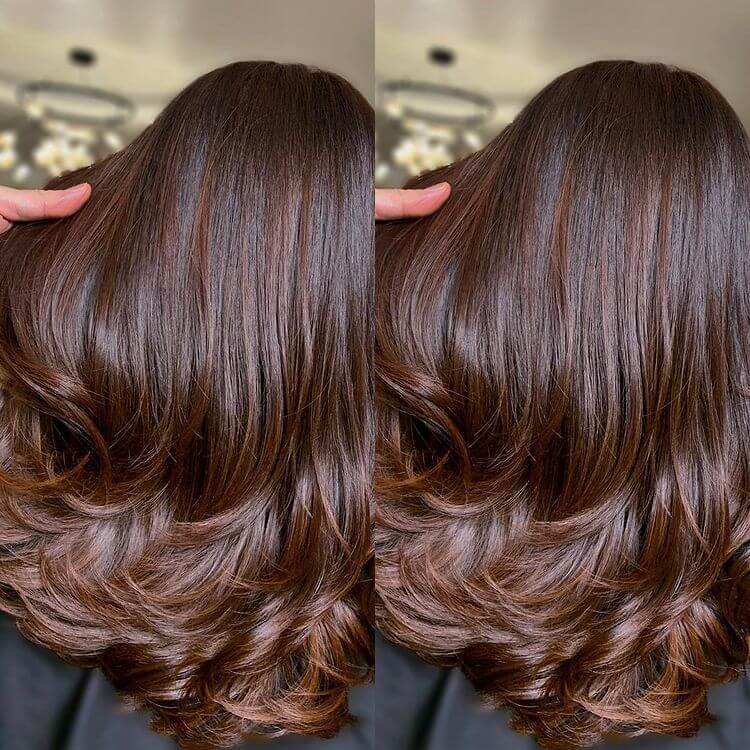 Two-tone Chocolate Hair Color