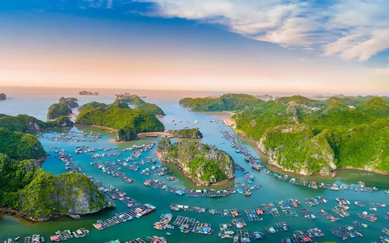 vietnam