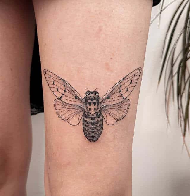 Cicada Sexiest Small Tattoos