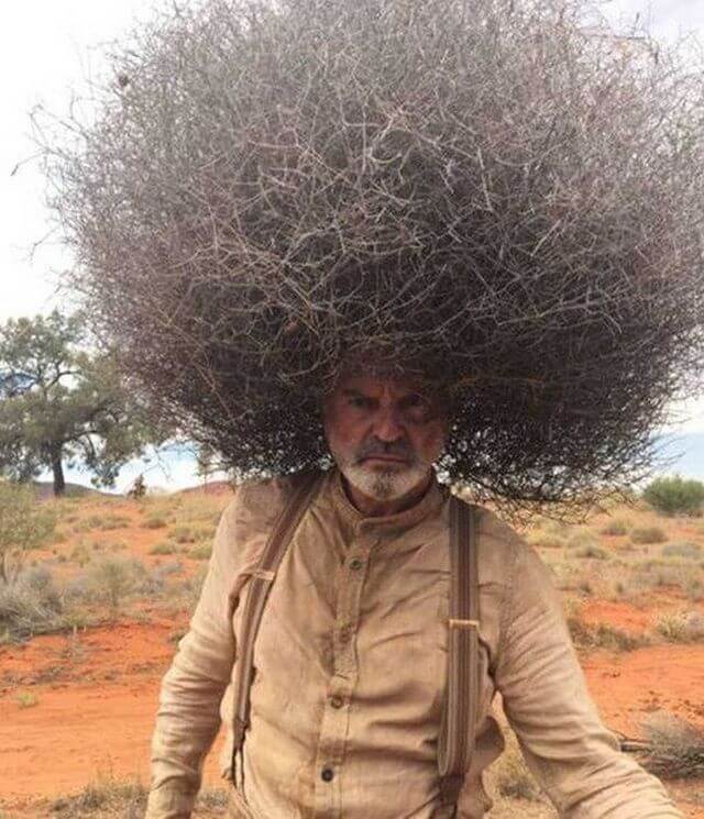 Bird's Nest Haircut