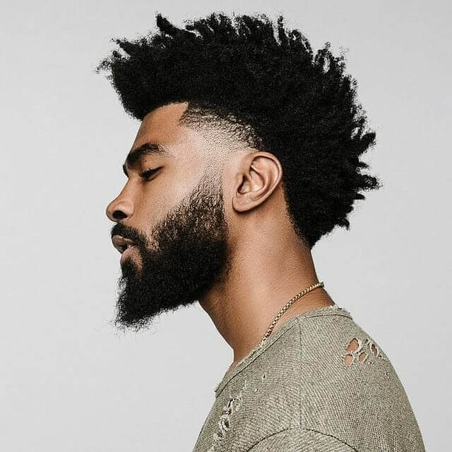 Curly Afro With Low Fade