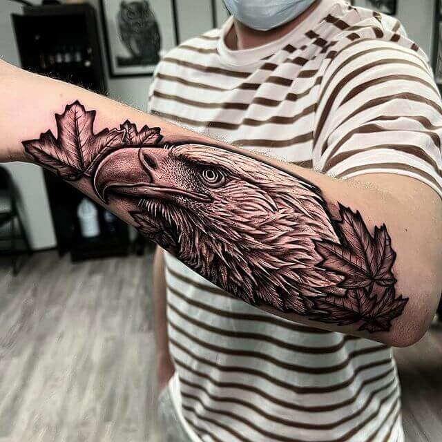 Eagle With Maple Leaves
