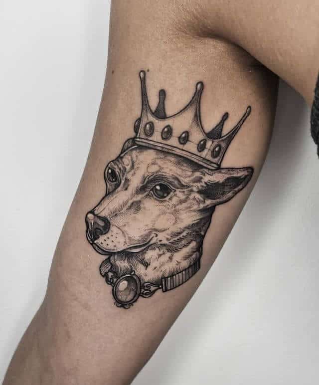 king dog