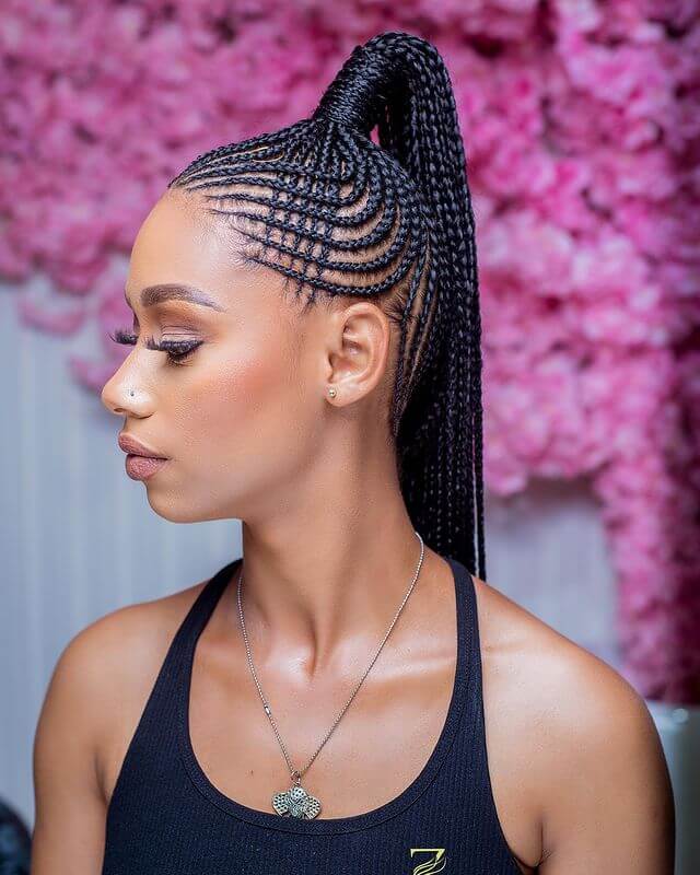 Stitch Braids High Ponytail