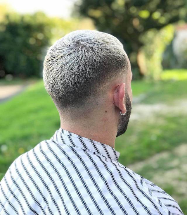 White Frosted Tips
