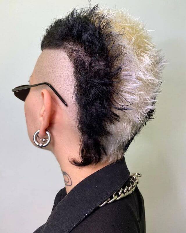 Skunk Hawk hairstyle.