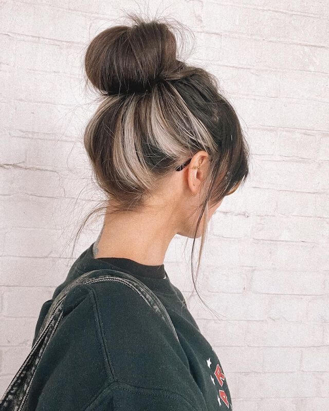 Skunk Stripe Under Hair
