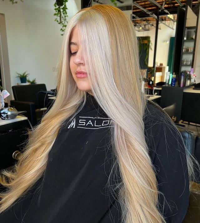 Skunk Stripe on Blonde Hair