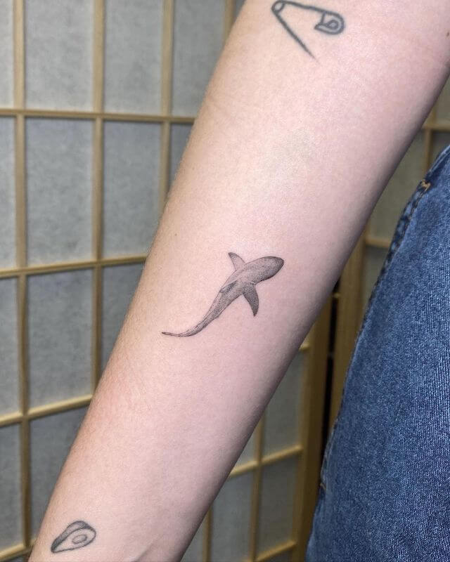 tiny shark tattoo