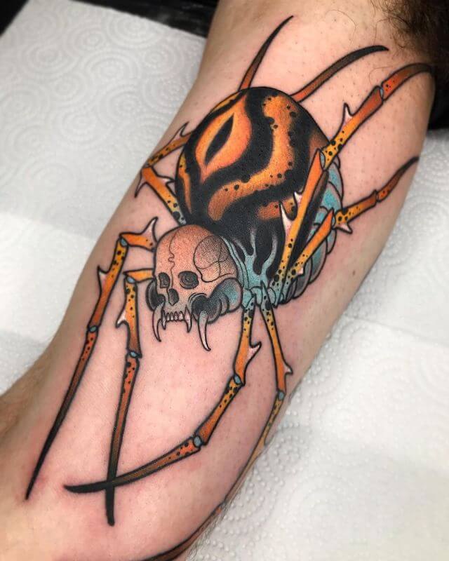colored spider with skull