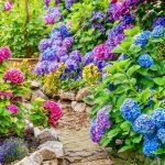 prepare a garden for winter