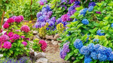 prepare a garden for winter